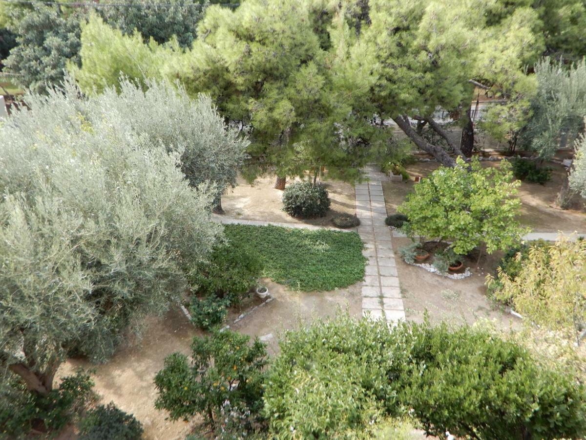 Comfortable Garden Apt Near Vouliagmeni Beach Афины Экстерьер фото